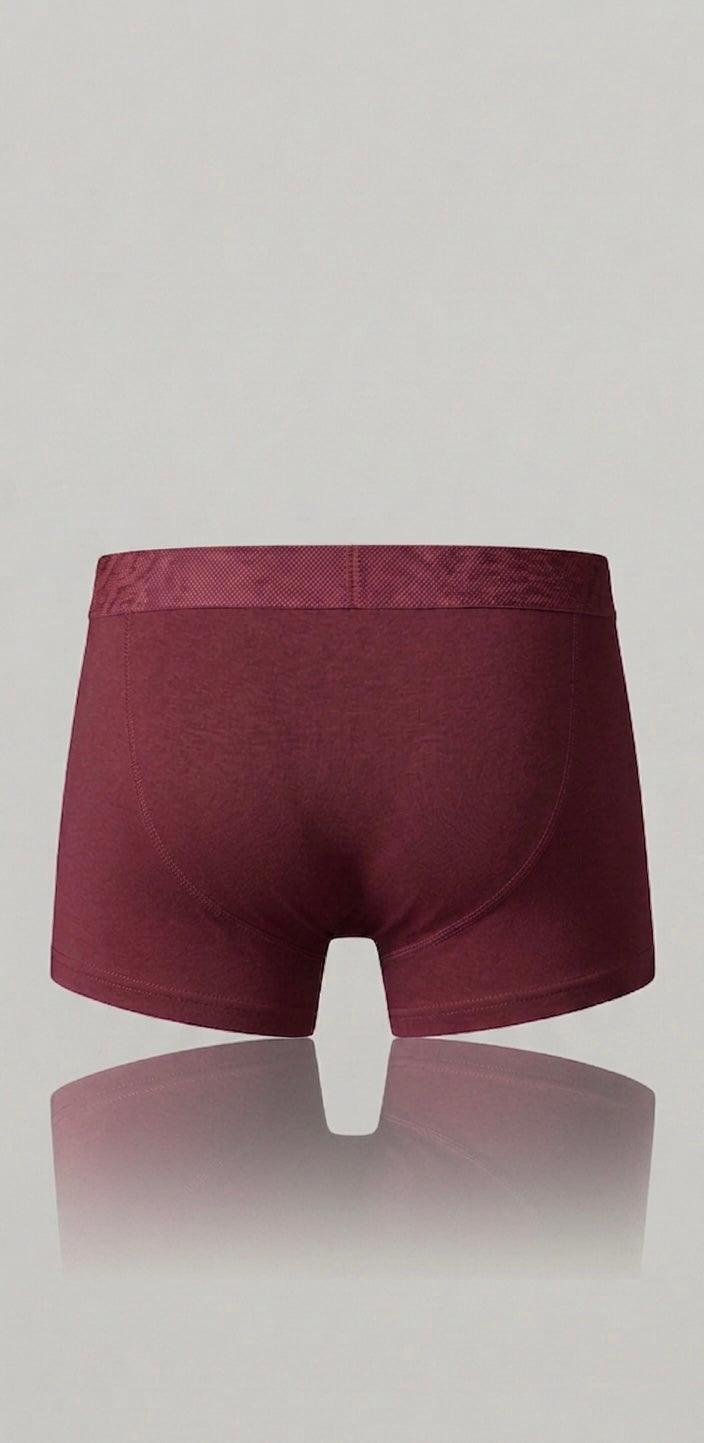 Pants - Bordeauxrot