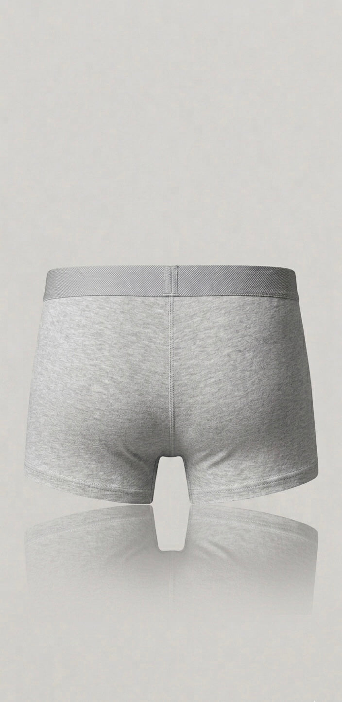 Pants - Grau
