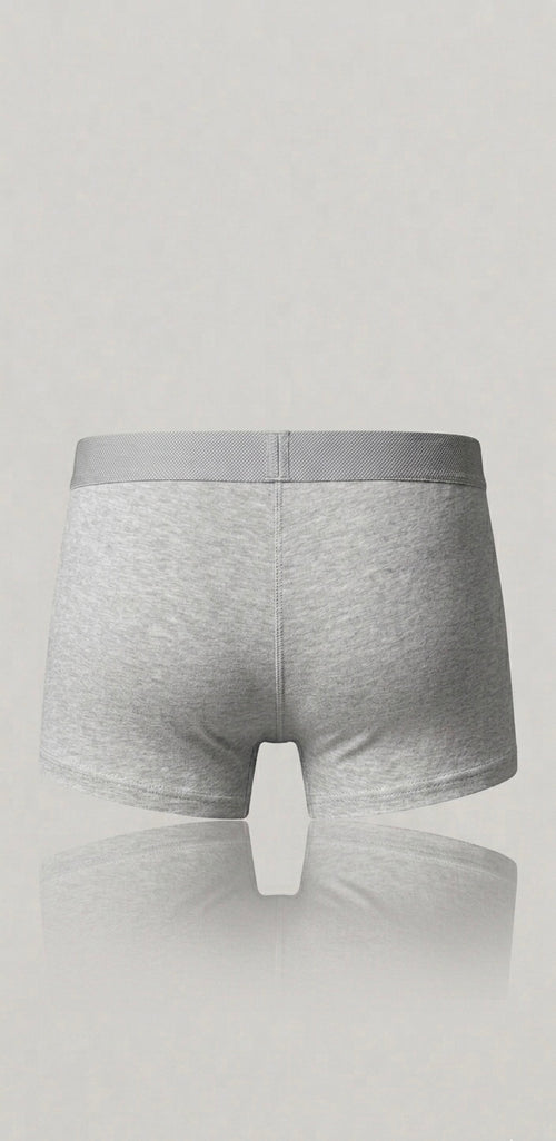 Pants - Grau